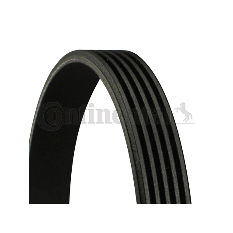 Ιμάντας poly-V