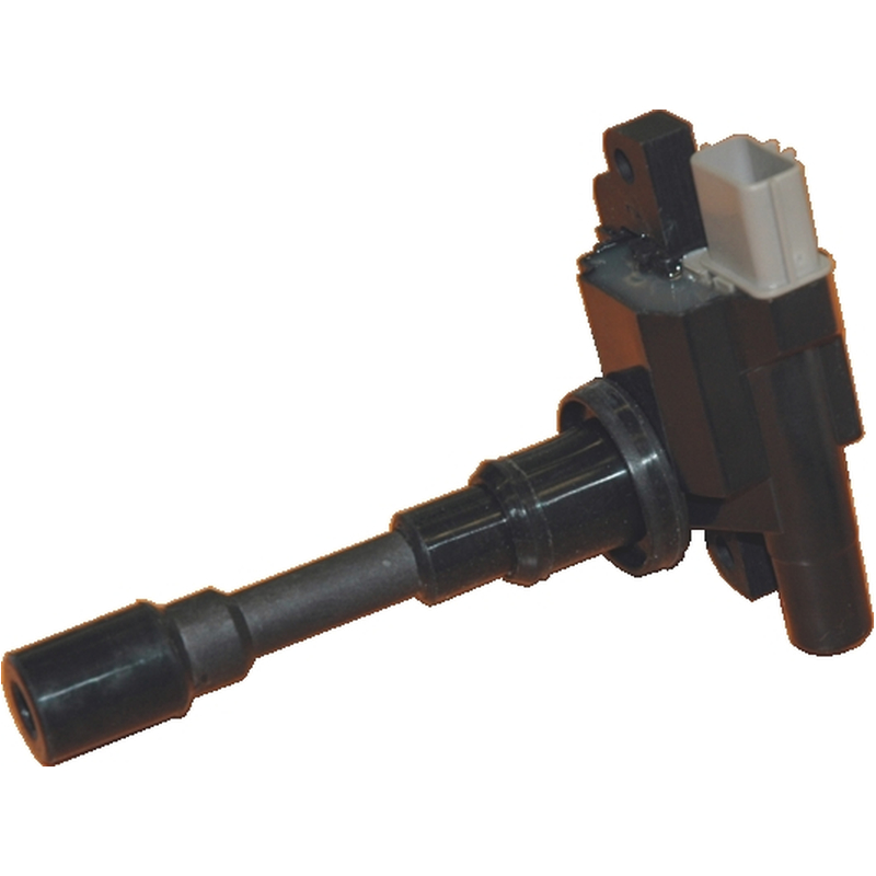 Πολλαπλασιαστής