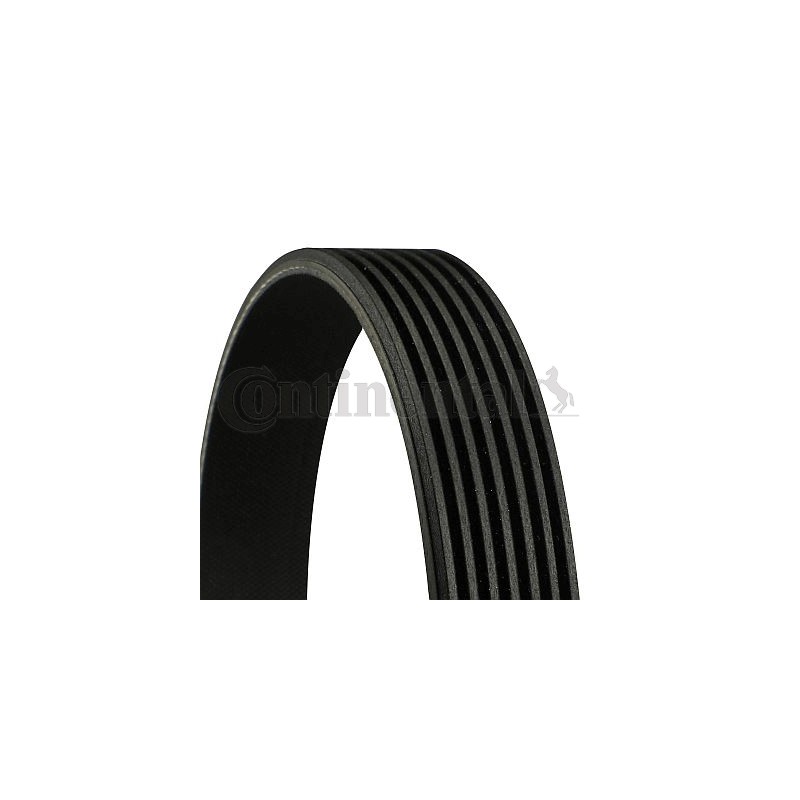 Ιμάντας poly-V