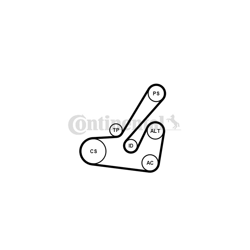 Σετ ιμάντων poly-V