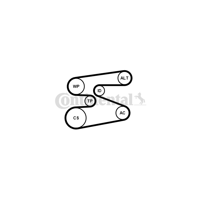 Αντλία νερού + σετ ιμάντων poly-V