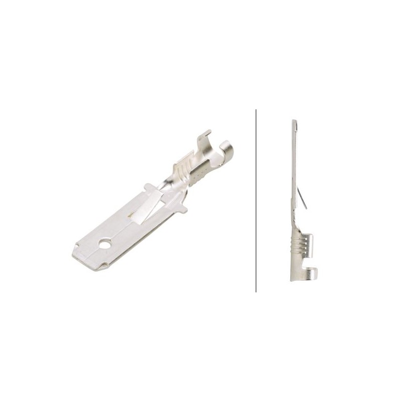 Ακροδέκτης