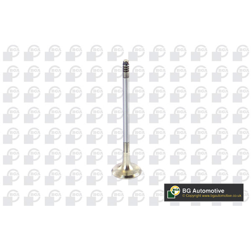 Βαλβίδα εξαγωγής