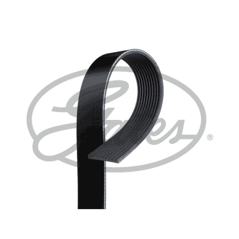 Ιμάντας poly-V