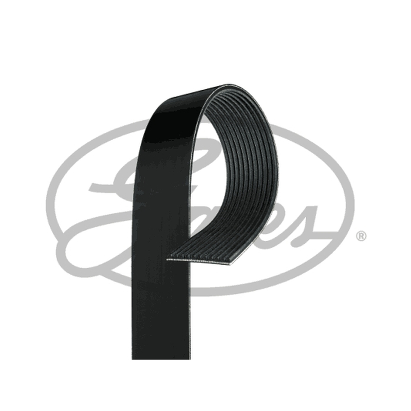 Ιμάντας poly-V