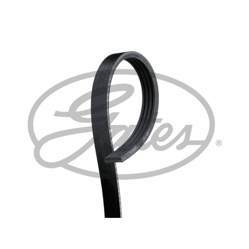 Ιμάντας poly-V