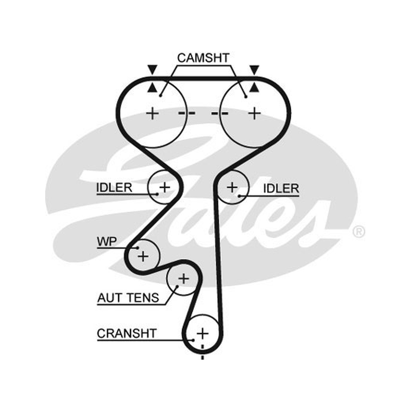 Οδοντωτός ιμάντας