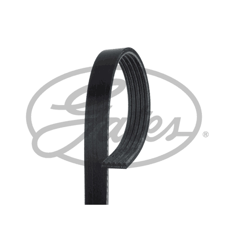 Ιμάντας poly-V
