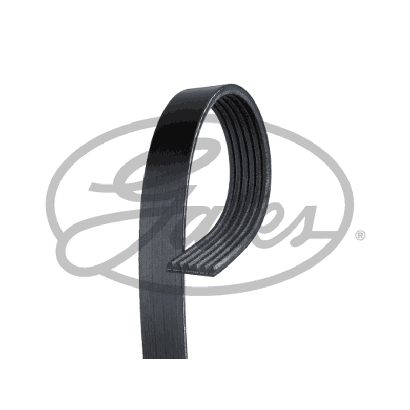 Ιμάντας poly-V