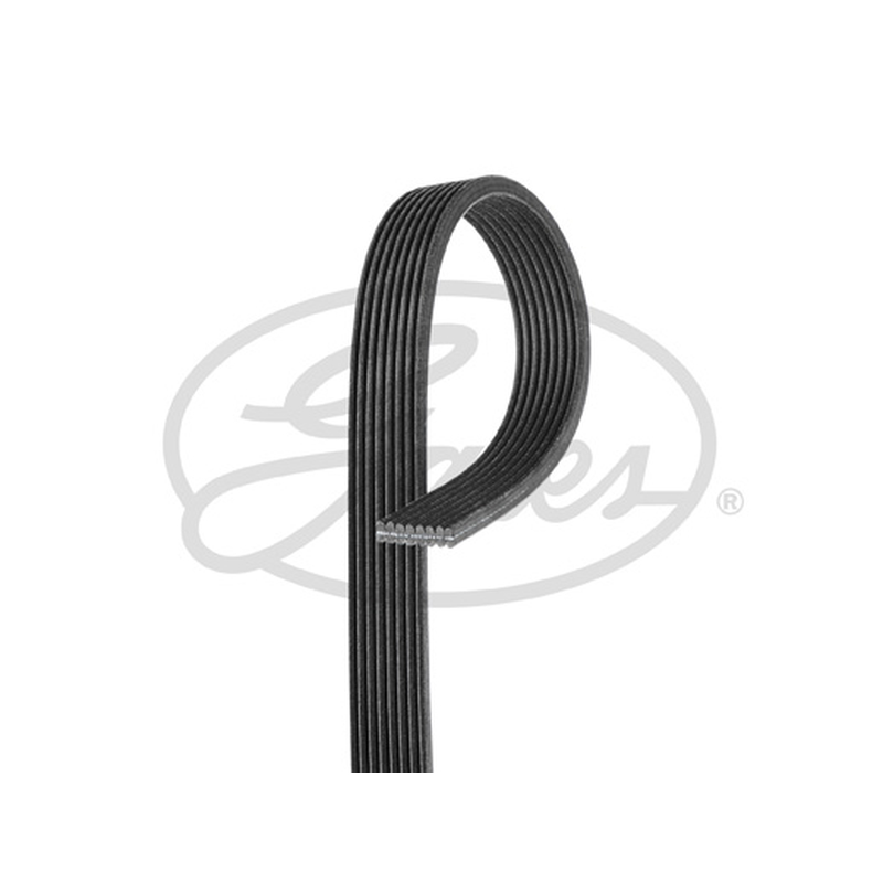 Ιμάντας poly-V