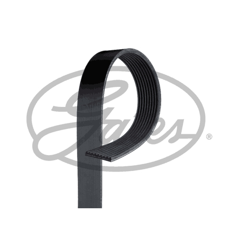 Ιμάντας poly-V