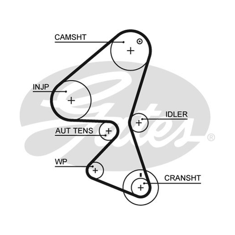 Αντλία νερού + σετ οδοντωτού ιμάντα