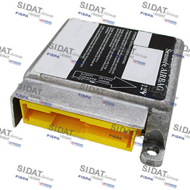 Εγκέφαλος, αερόσακκος