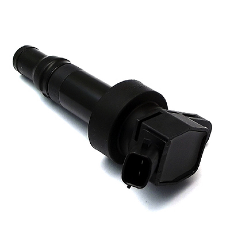 Πολλαπλασιαστής