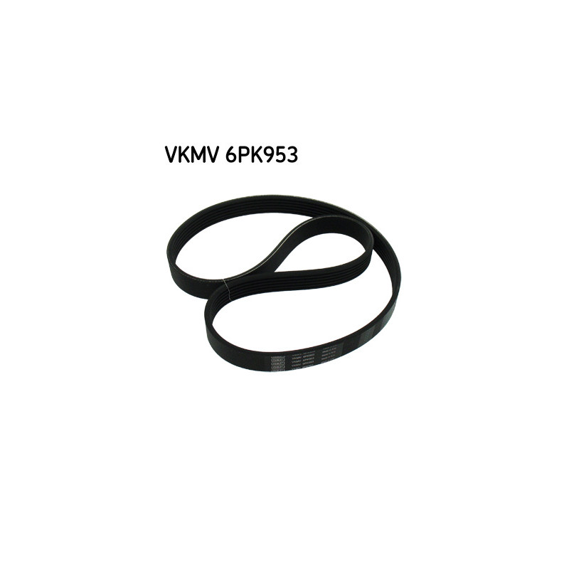 Ιμάντας poly-V