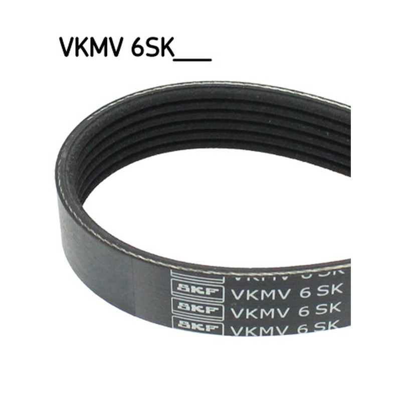 Ιμάντας poly-V