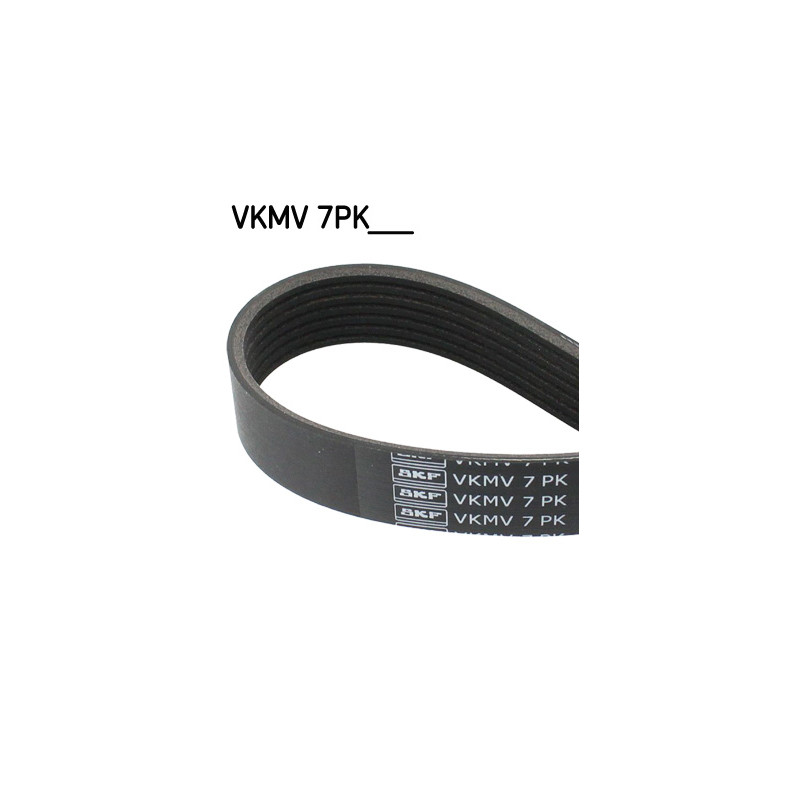 Ιμάντας poly-V