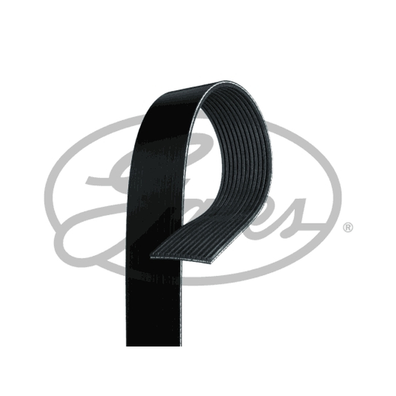 Ιμάντας poly-V