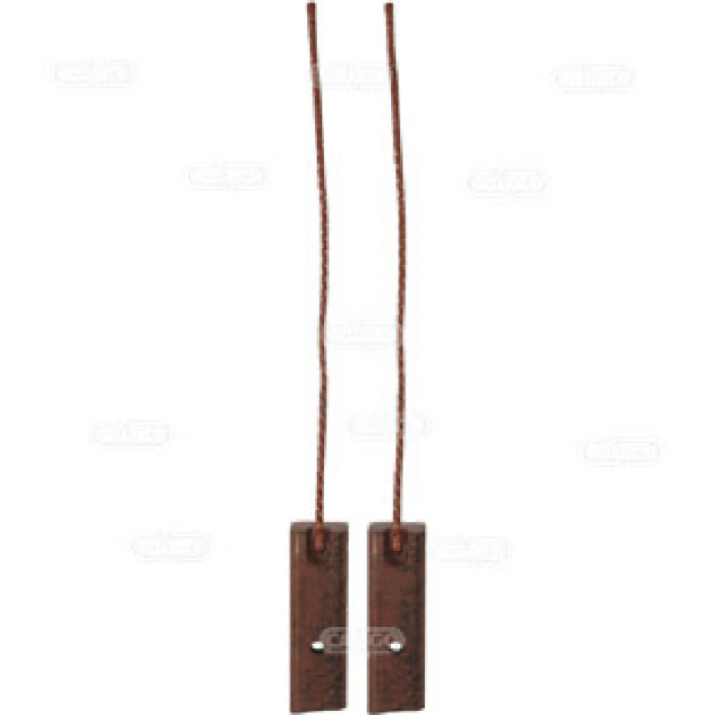 Βούρτσα κάρβουνου, γεννήτρια